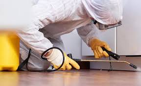 Best Residential Pest Control  in Elsa, TX